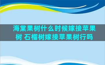 海棠果树什么时候嫁接苹果树 石榴树嫁接苹果树行吗